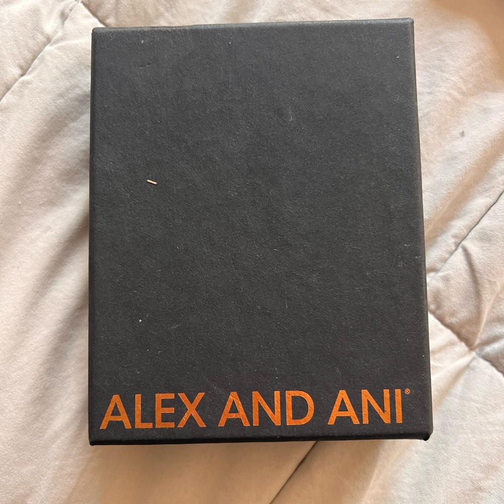Alex and Ani Silver Bracelet with Charm
